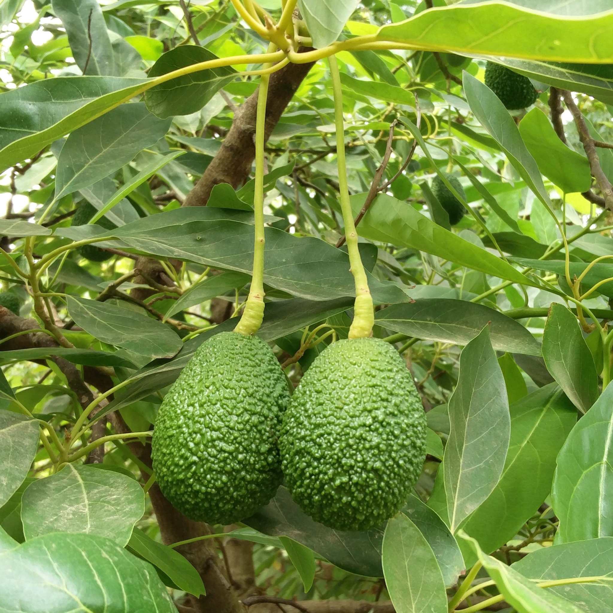 Produktbild 4